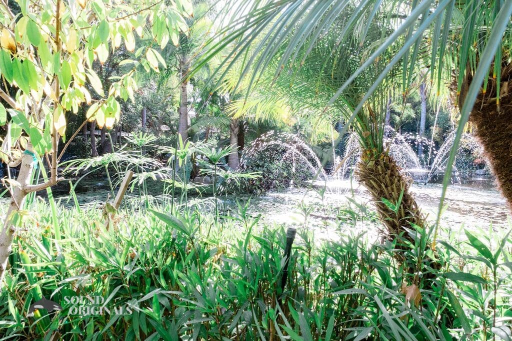 Eden Gardens Wedding // April + Angel -