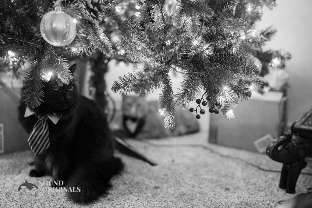 Private Home Wedding // Adrienne + Ian -