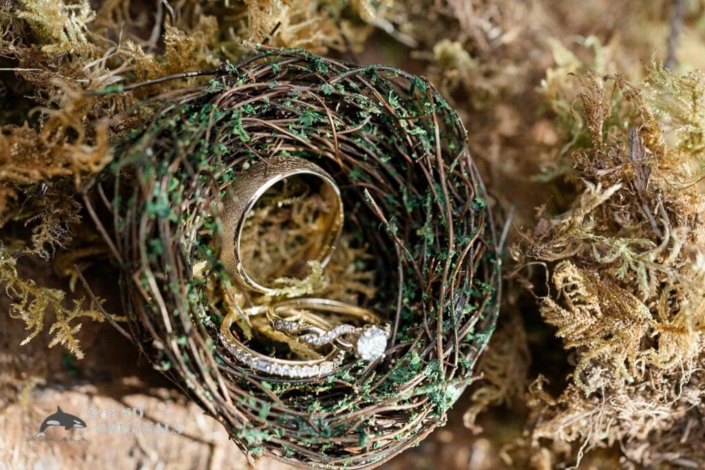 Summit Grove Lodge Wedding // Andrew + Aimee -