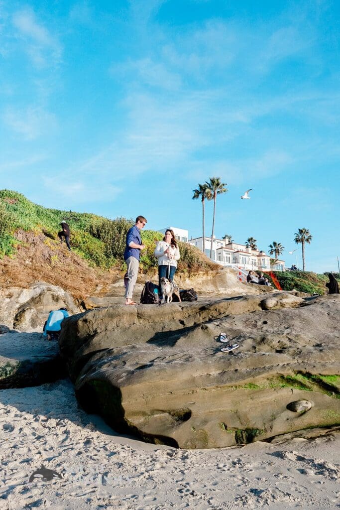 Windansea Beach Engagement // Leah + Timothy -