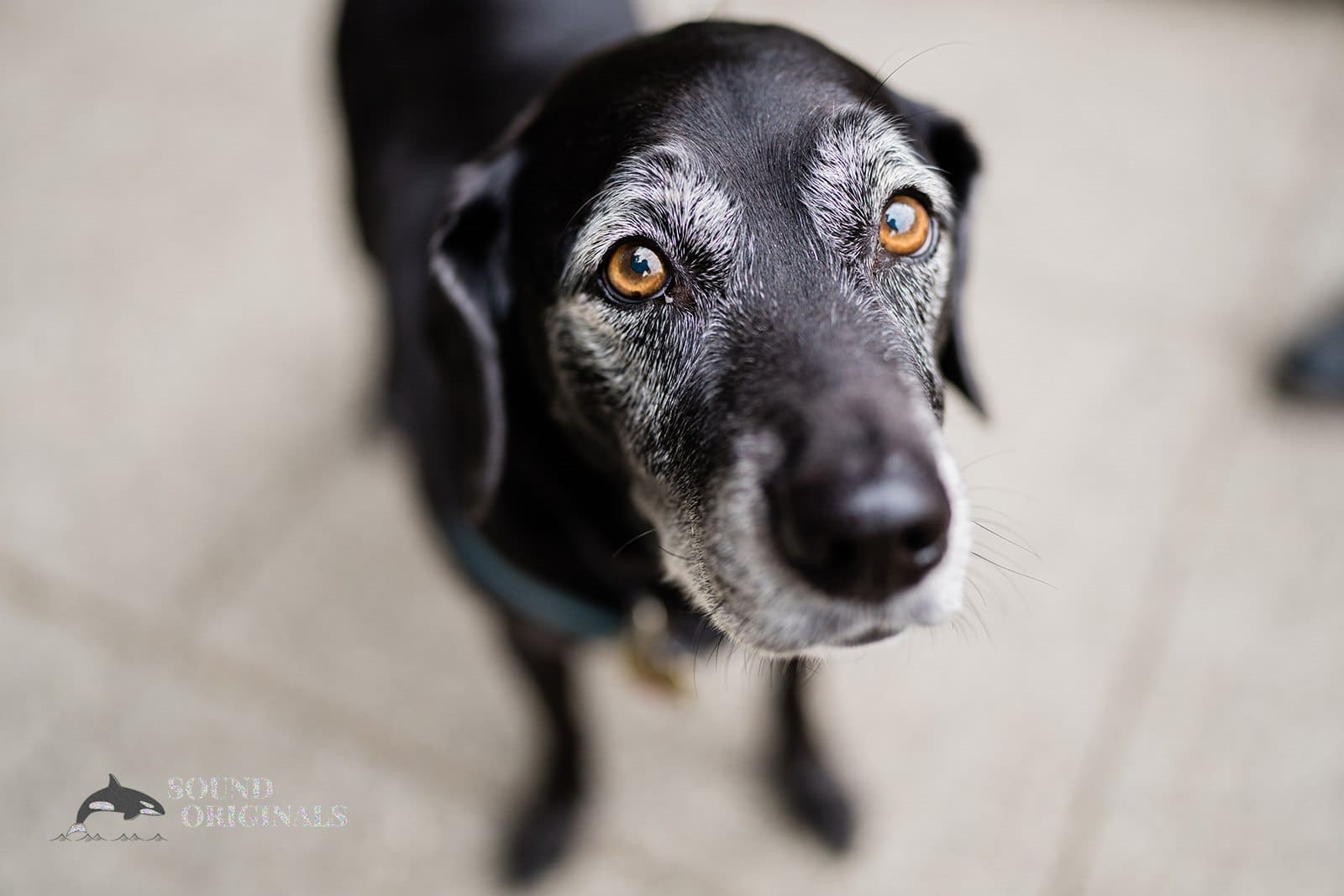 Kerry Park Engagement // Molly + Bill -