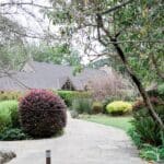 Brazilian Room Wedding -