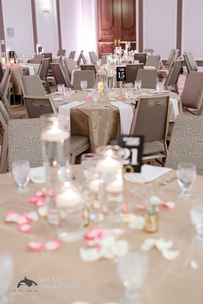 Sheraton McKinney Wedding // Abhinav + Meghana -