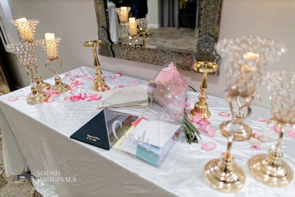 Sheraton McKinney Wedding // Abhinav + Meghana -