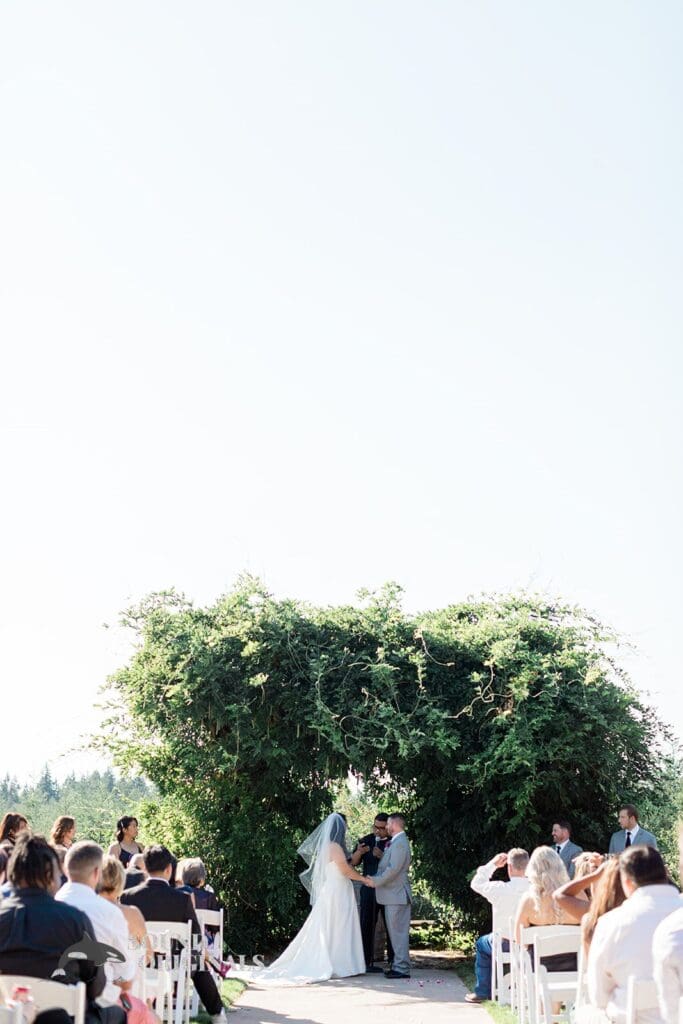 Hillside Farms Wedding // Jen + Preston -