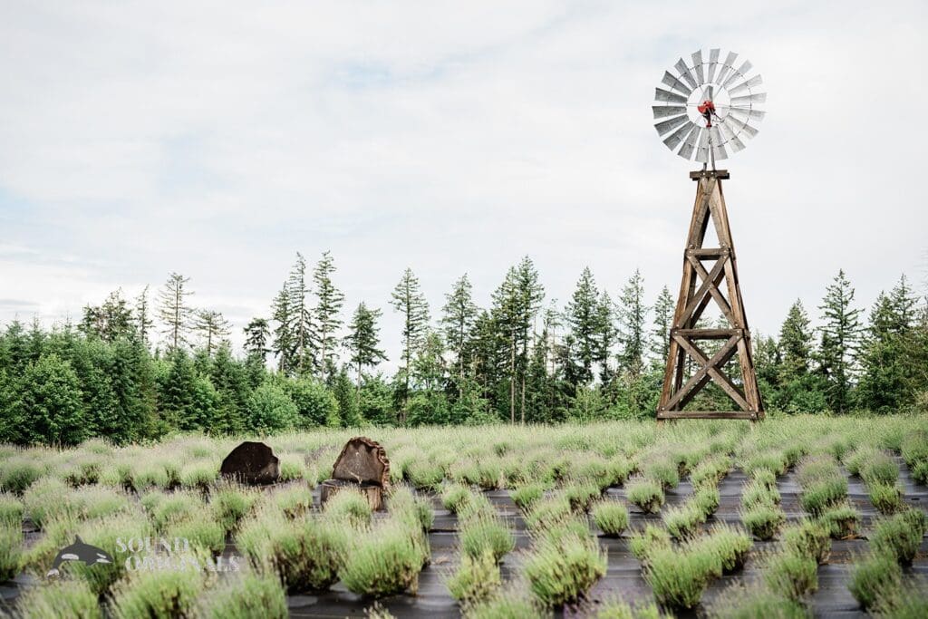 Nina + Sean Hillside Farms Wedding // Nina + Sean -