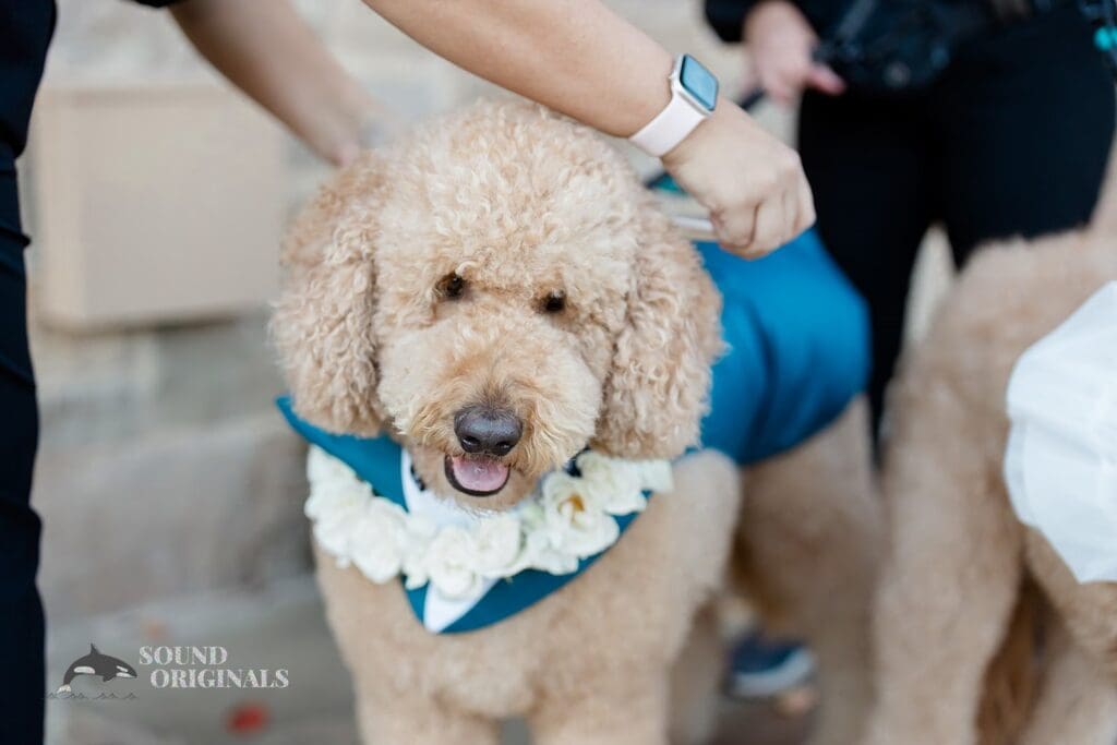 Emily & John-Isaac -