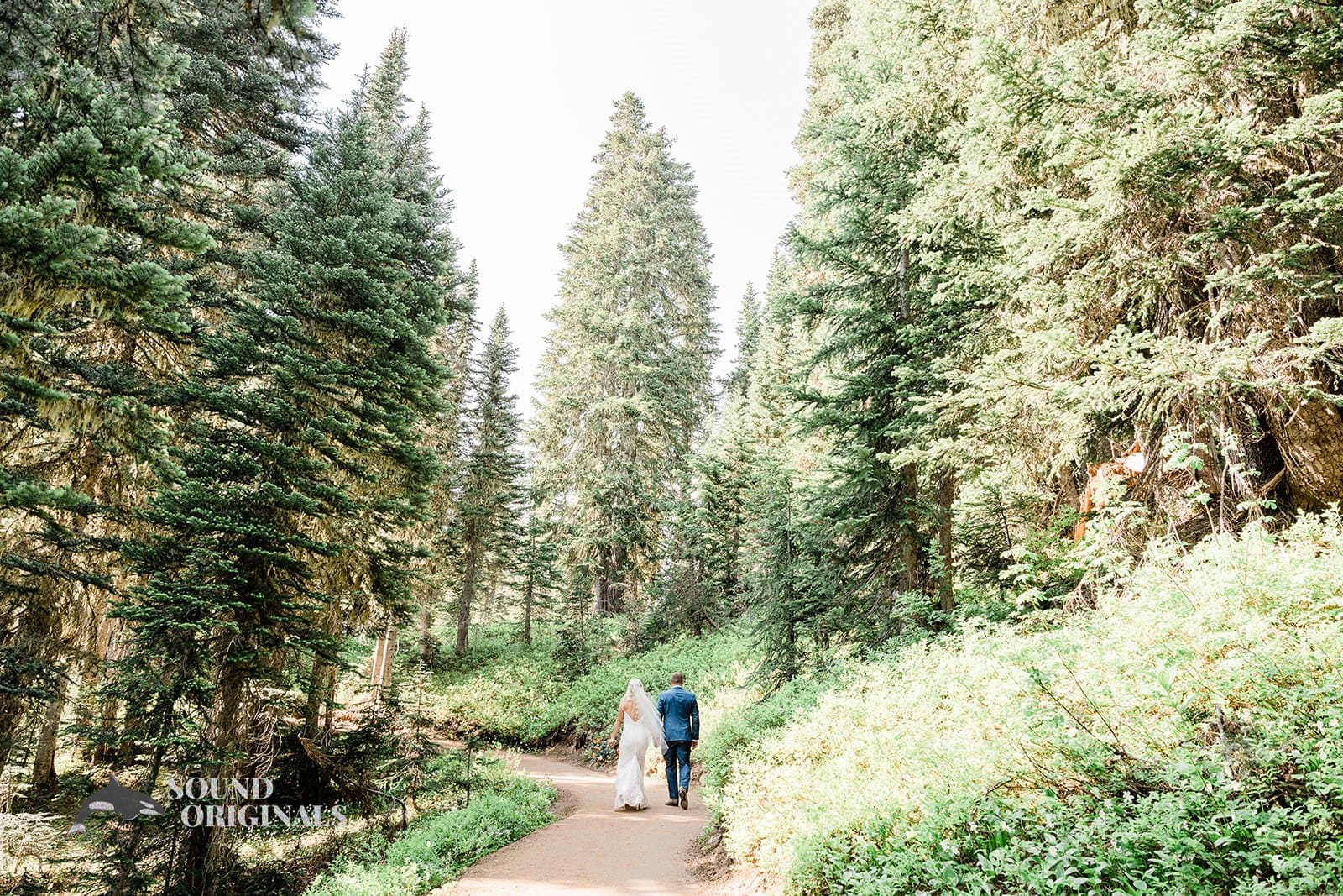Mount Rainier National Park Wedding // Carrie + Dylan -