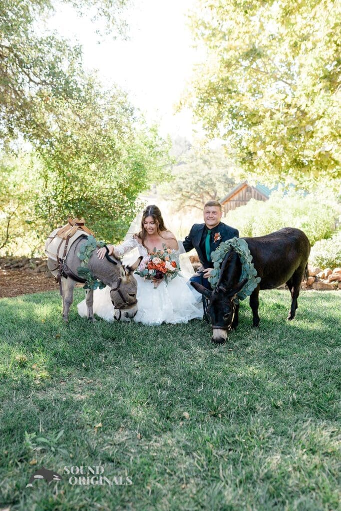 Texas Photo Highlight -