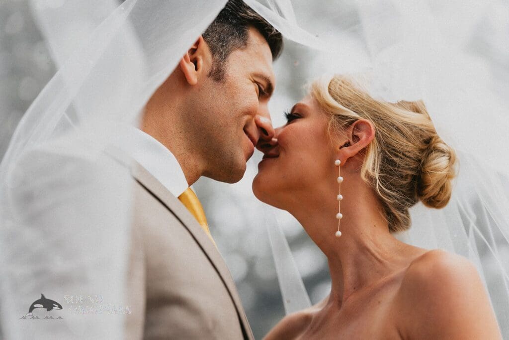 Texas Photo Highlight -