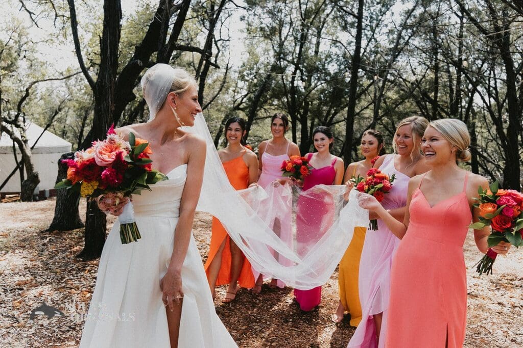 Texas Photo Highlight -