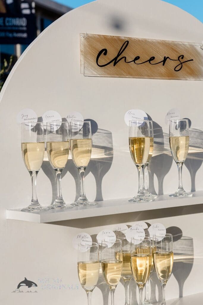 Cuvier Club Wedding // Erica + Dan -