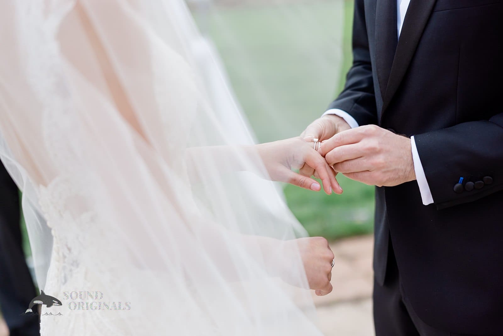 Vienna & David -