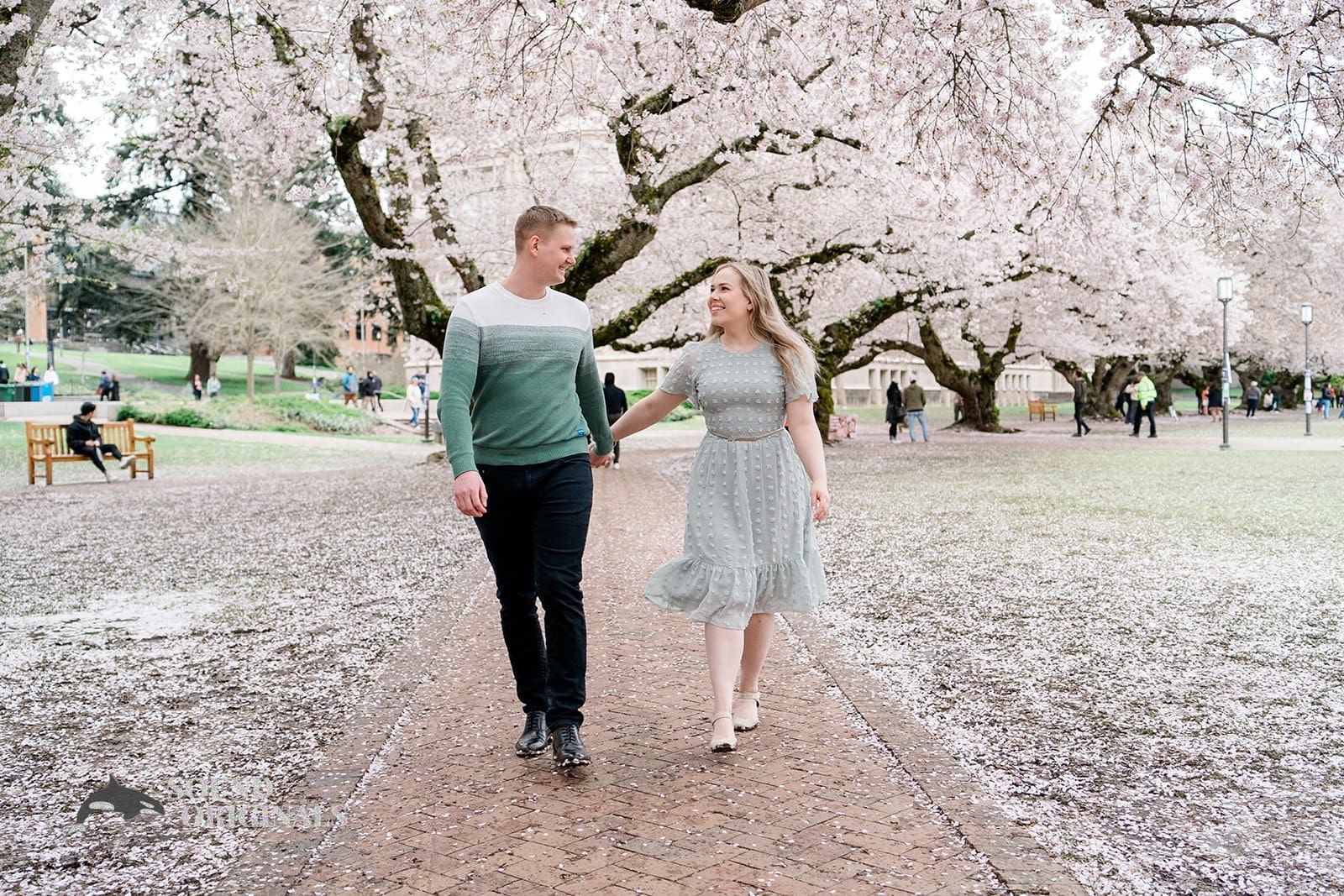 UW Cherry Blossoms Engagement // Alexandra + Blake -