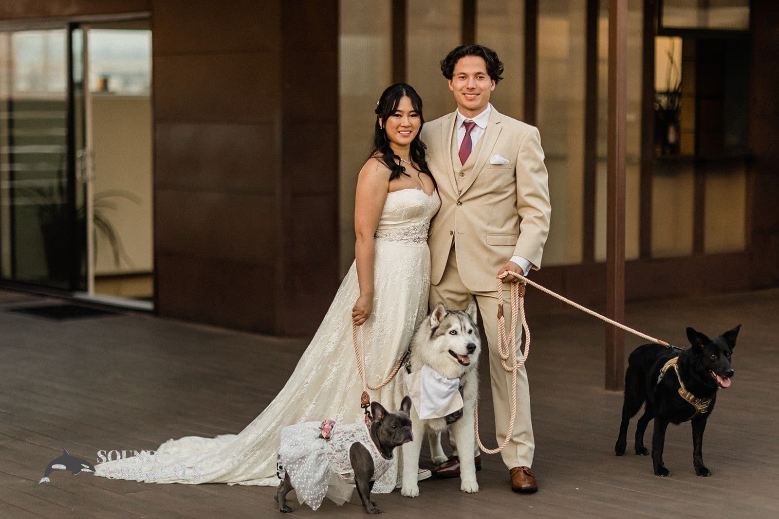 Include Your Dog in Your Wedding Day: Heartwarming Ideas and Tips -