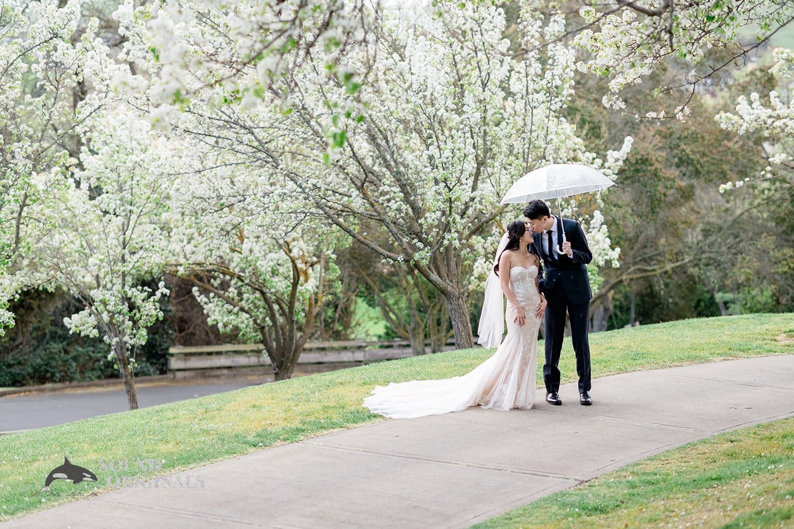 Hiddenbrooke Hills Wedgewood Wedding // Katy + Michael -
