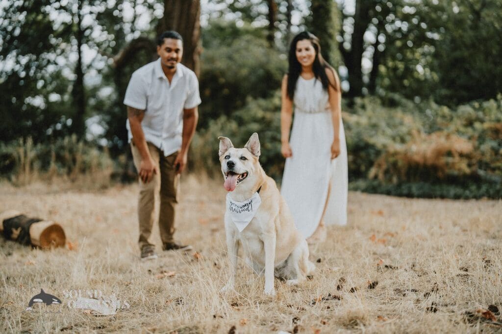 Ash + Chris Lincoln Park Engagement // Ash & Chris -