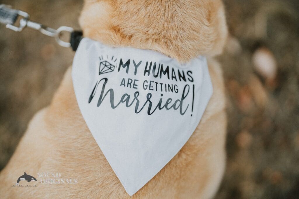 Ash + Chris Lincoln Park Engagement // Ash & Chris -