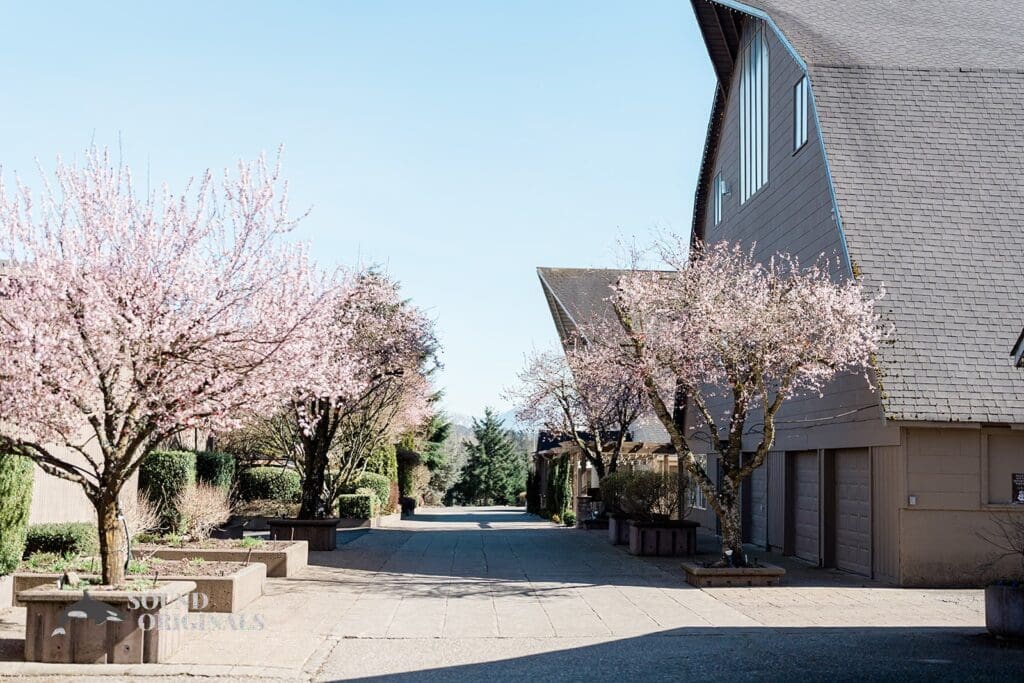 Lord Hill Farms Wedding // Victoria + Christopher -