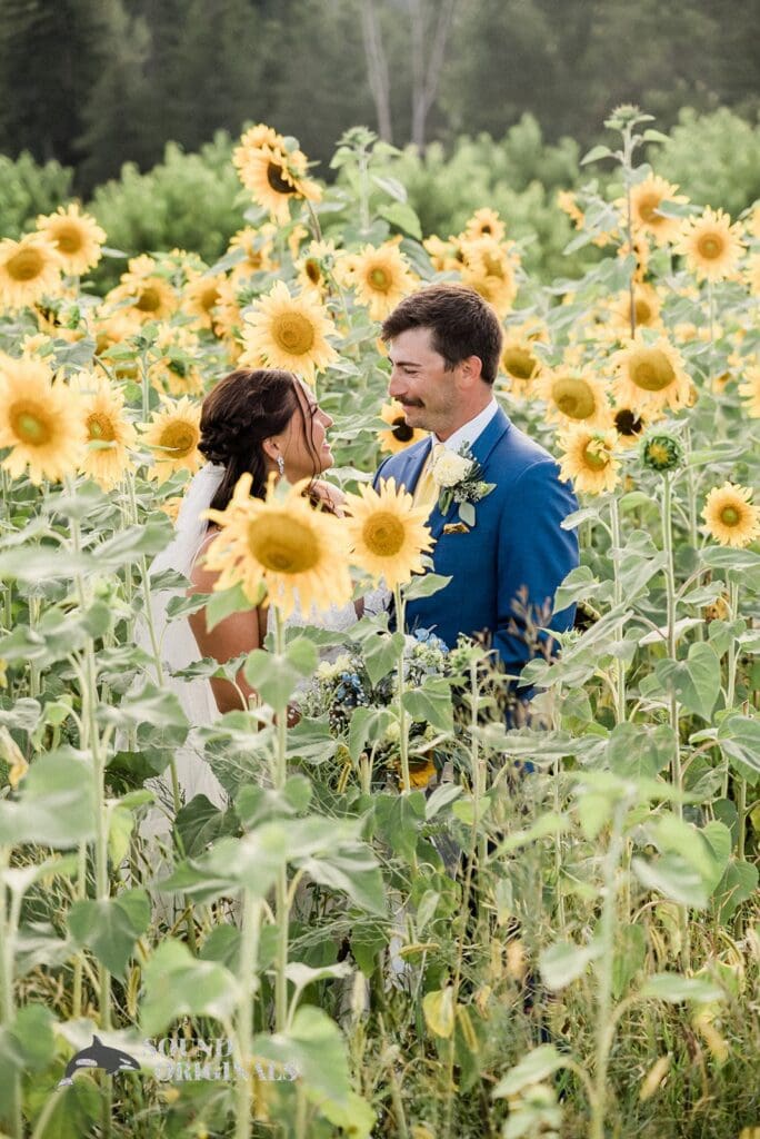 Mt View Orchards Wedding // Ashley + Jacob -