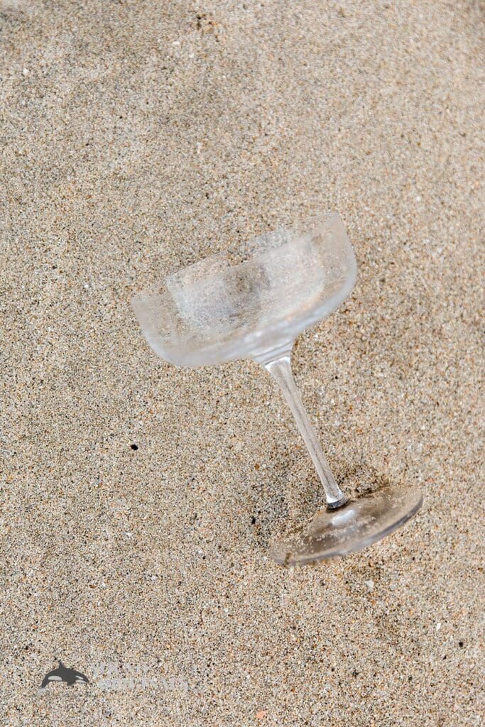 Washington State Arboretum Engagement // Linh + Myron -