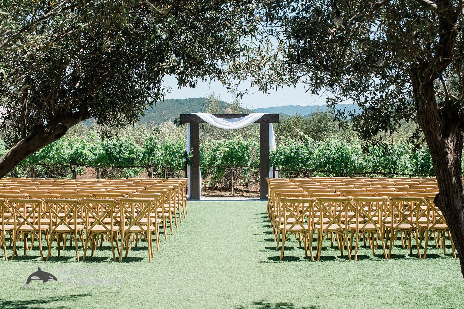 MOHI Wine Wedding -