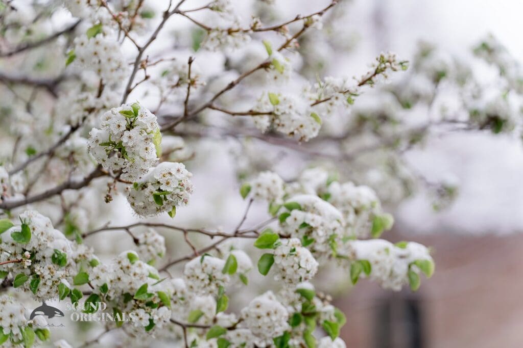 Cherry Hills Community Church Wedding // Cheryl + Doug -