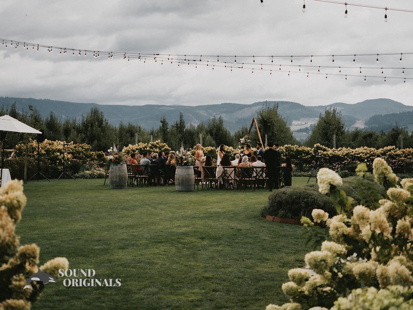 Erika & Chris -