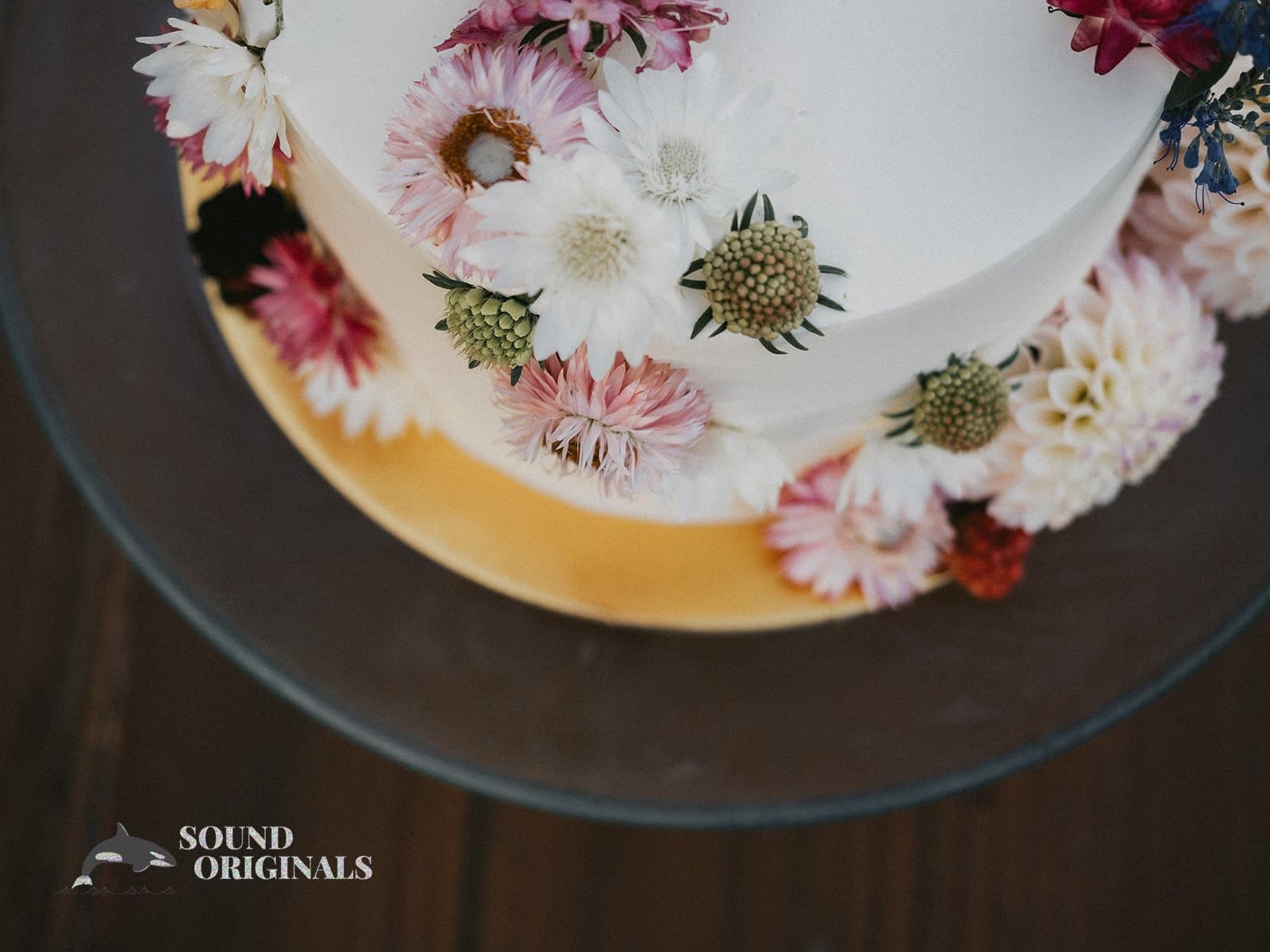 Erika & Chris -