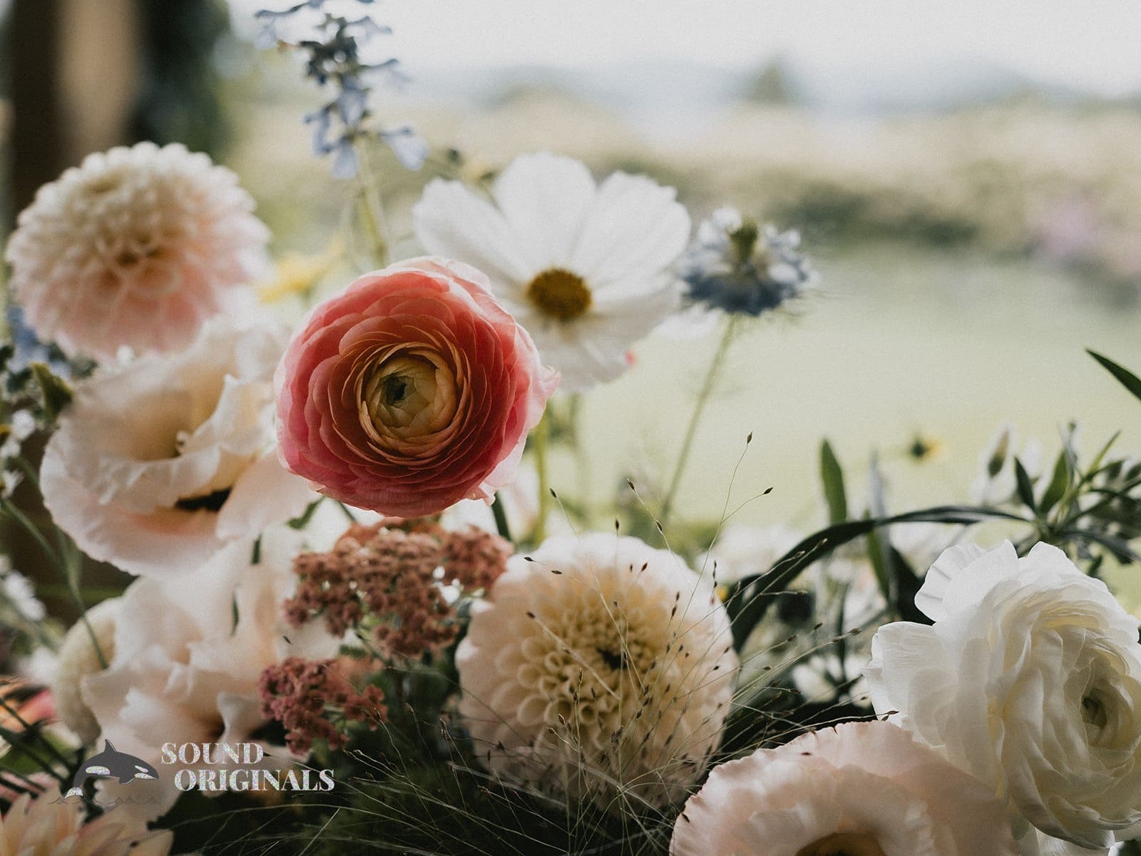 Erika & Chris -