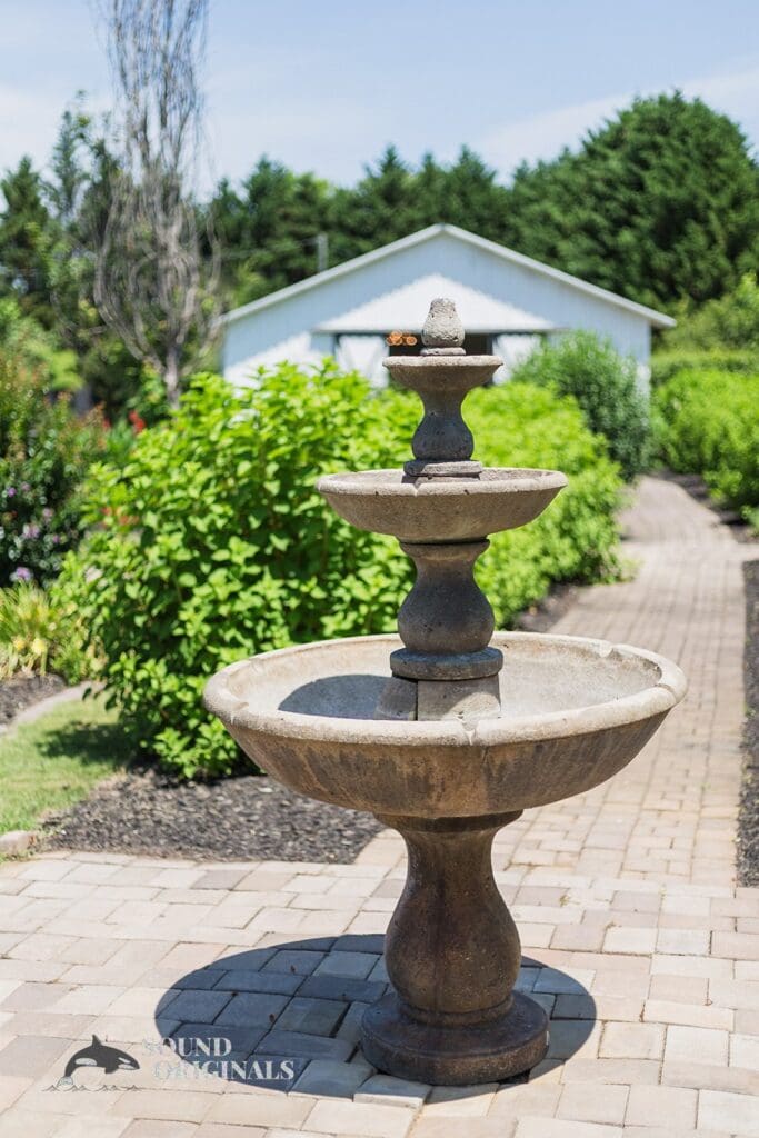 Hannah Mae & Travis -