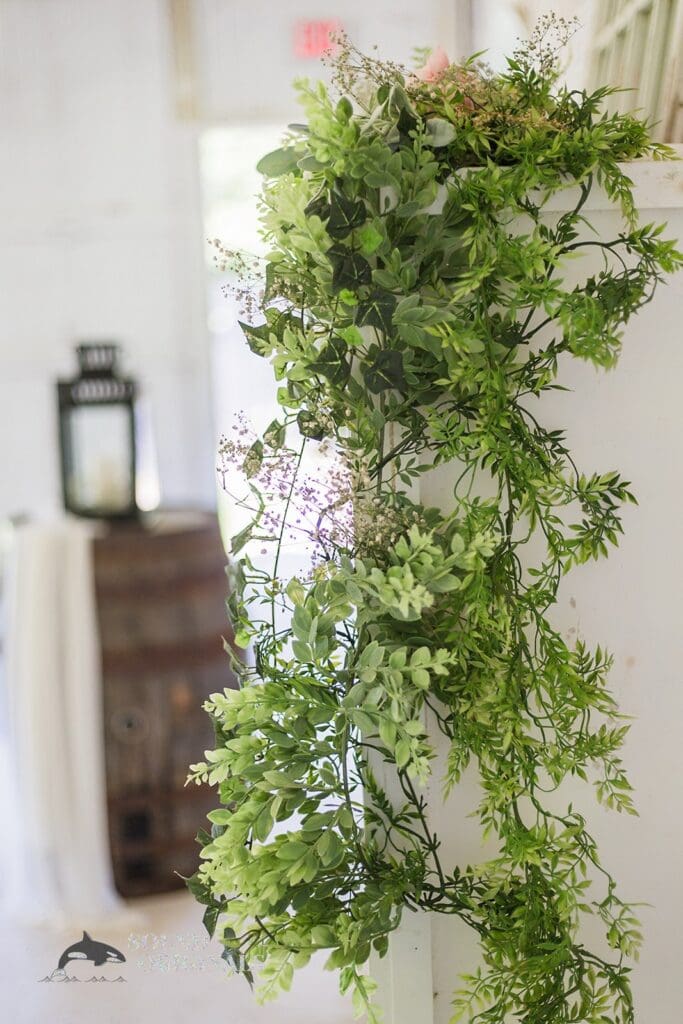 Hannah Mae & Travis -