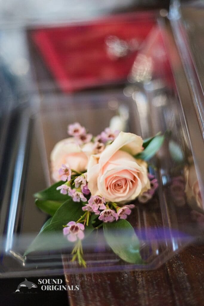 Hannah Mae & Travis -