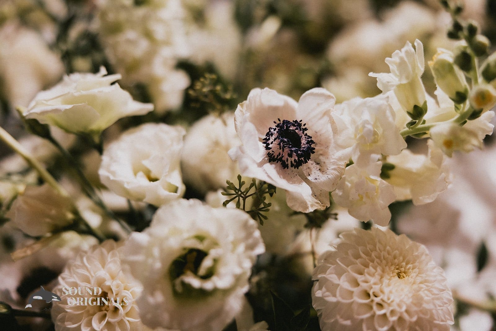 Lauren & Kevin -