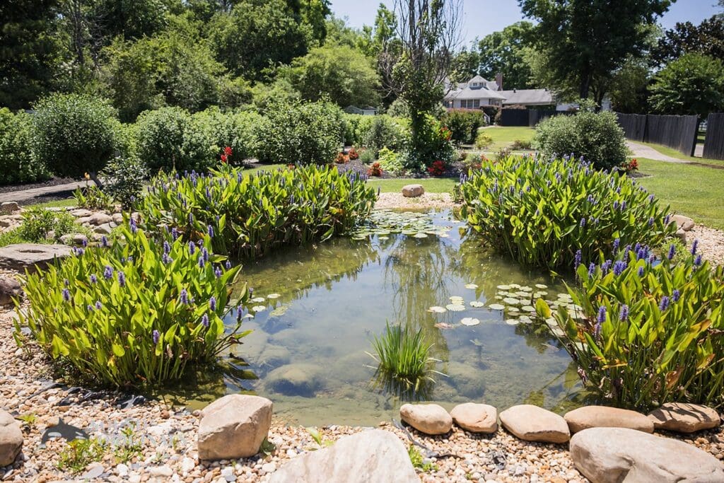 Hannah Mae & Travis -