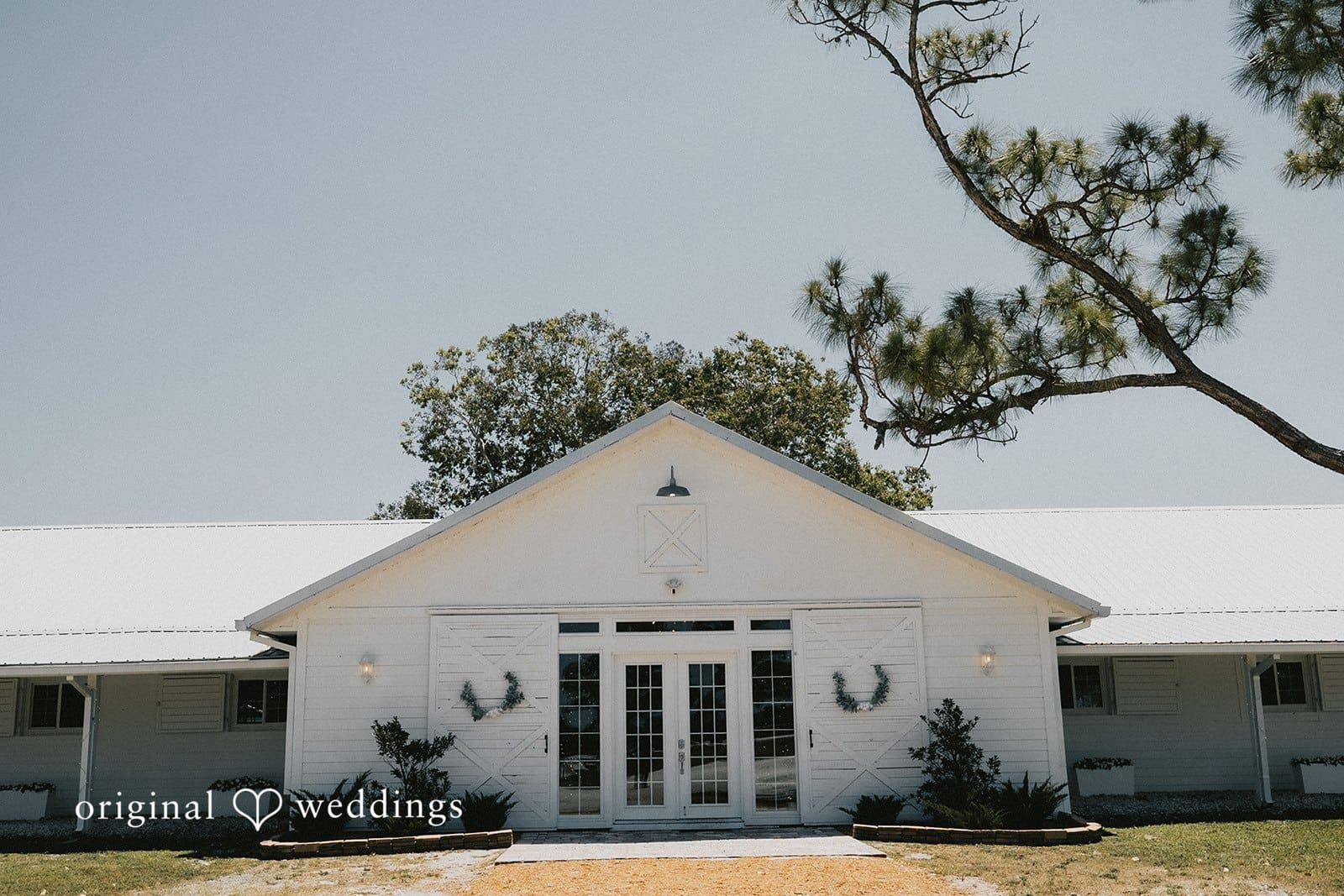 Hailey & Christian -