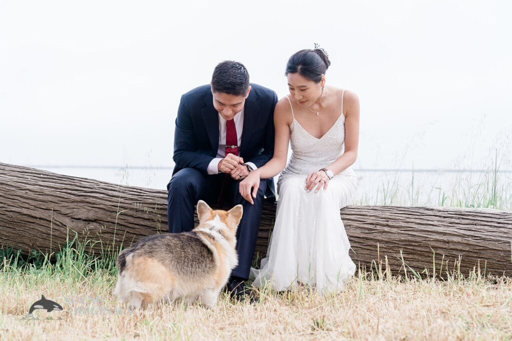 Maverick's House Wedding // Min + Kevin -