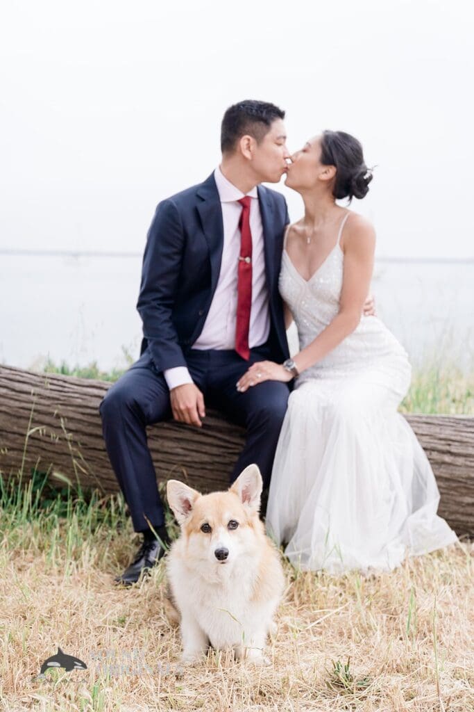 Maverick's House Wedding // Min + Kevin -