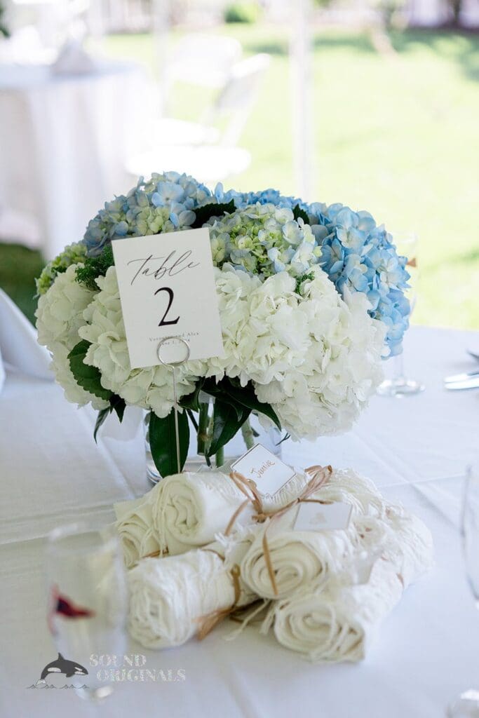 Veronica & Alexander -