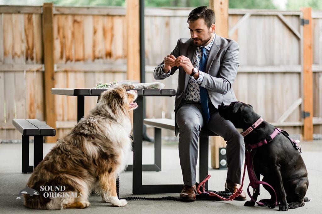 Dogs at Weddings -