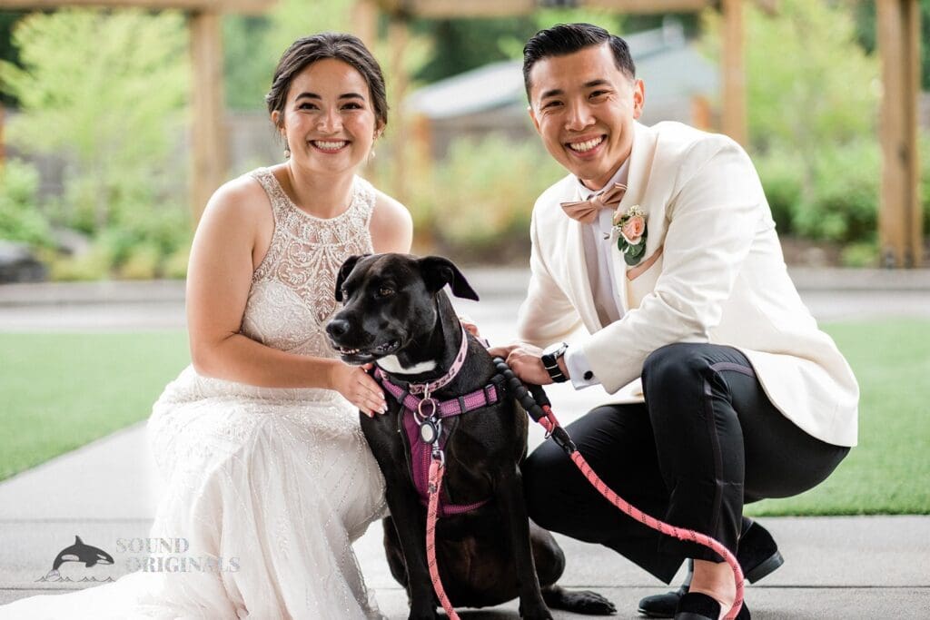 Dogs at Weddings -