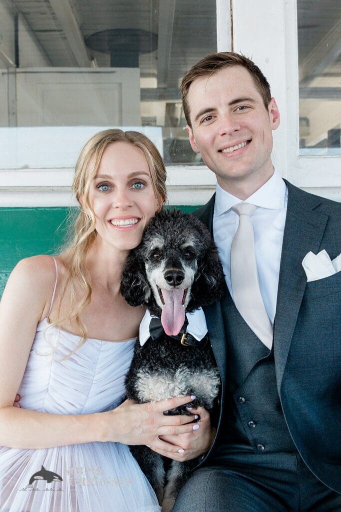 Dogs at Weddings -