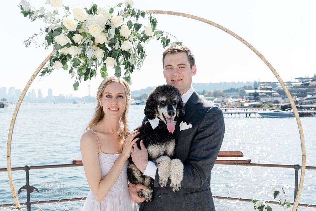 Dogs at Weddings -