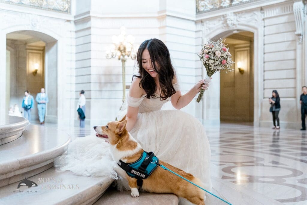 Dogs at Weddings -
