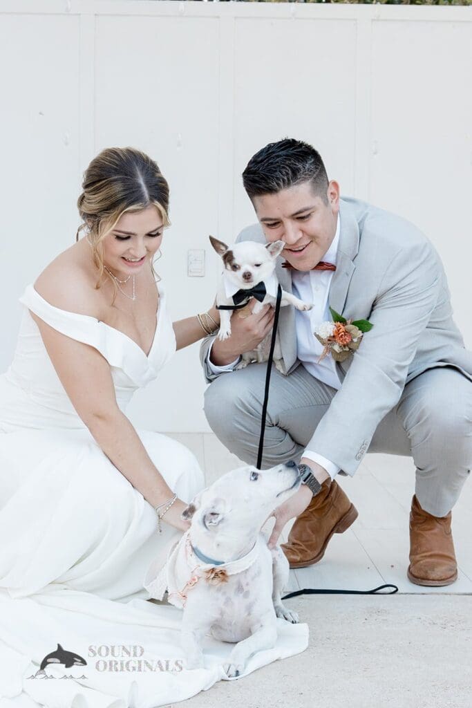 Dogs at Weddings -