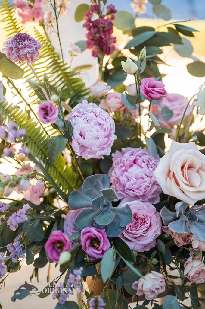 Adrianna & Maxwell -