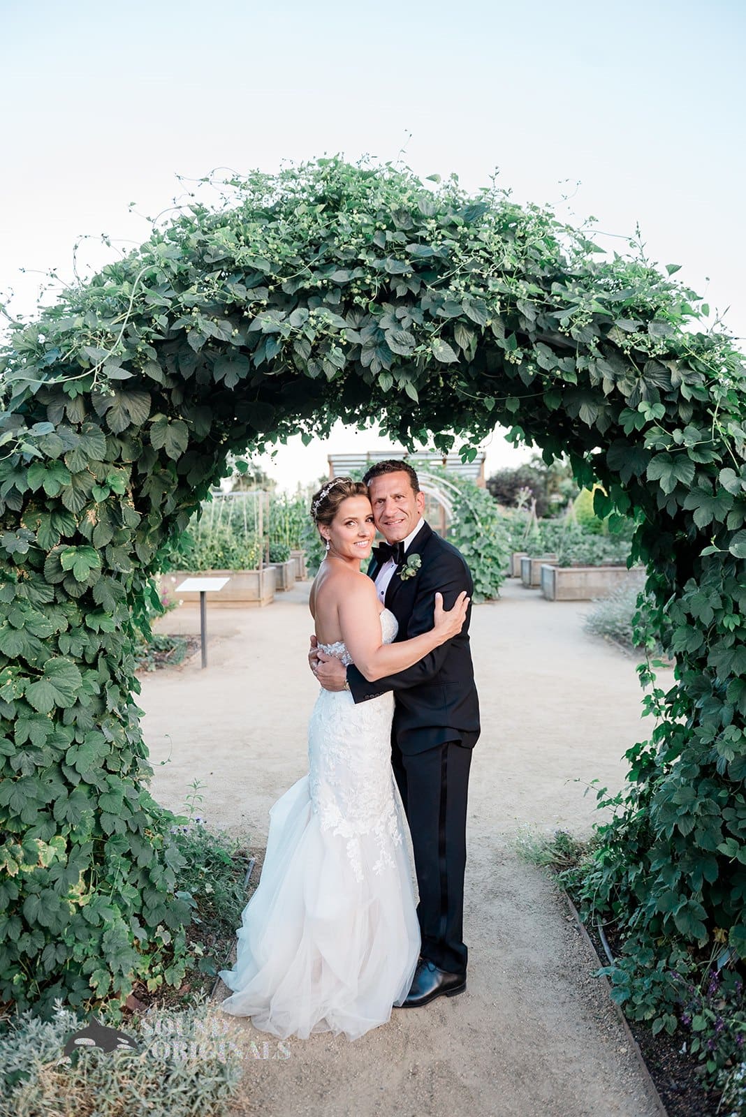Julia & Stefan -