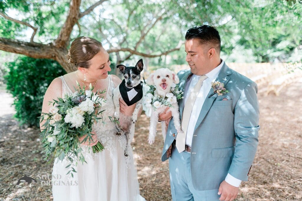 Dogs at Weddings -