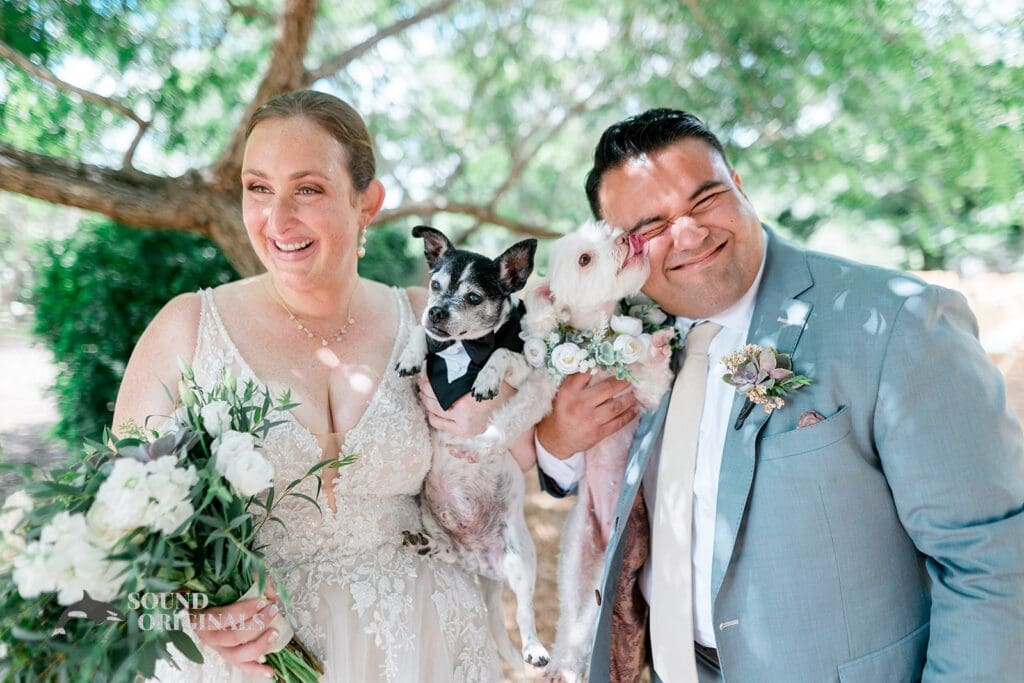 Dogs at Weddings -