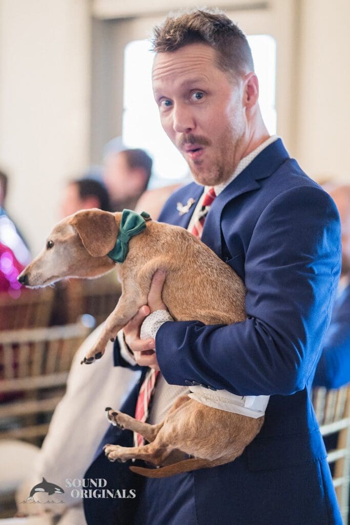 Dogs at Weddings -